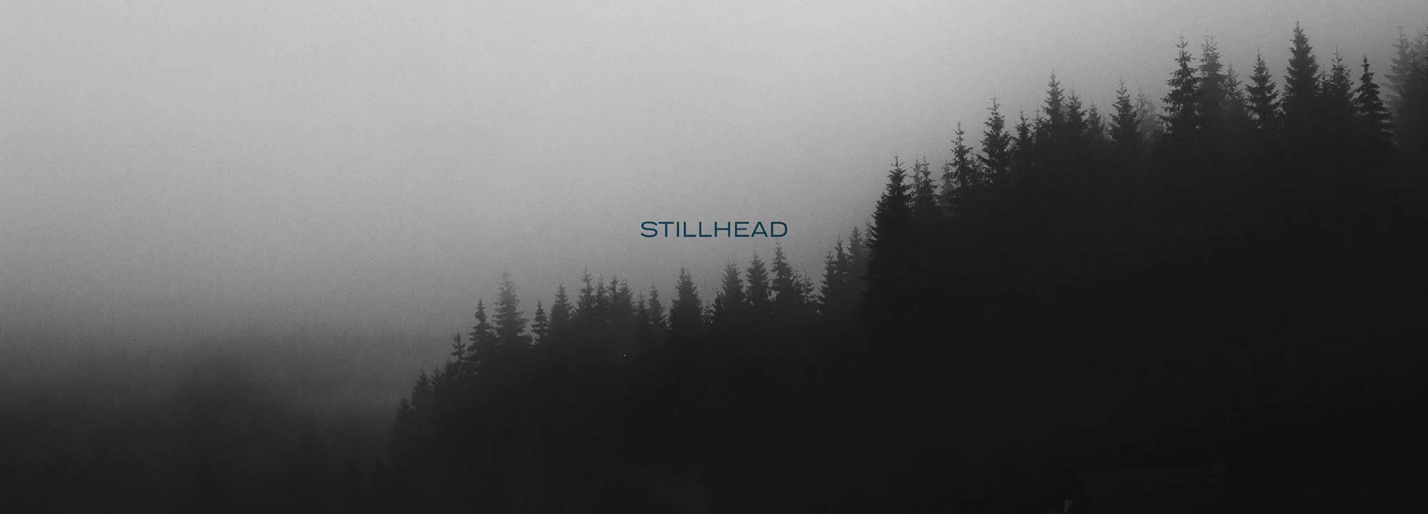 Stillhead - Out of the Loop